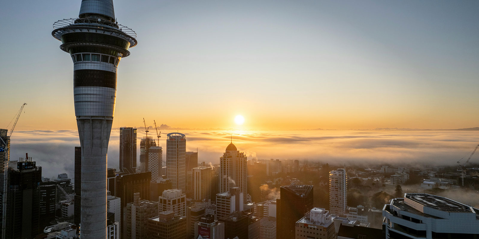 Bridgewest Ventures New Zealand
