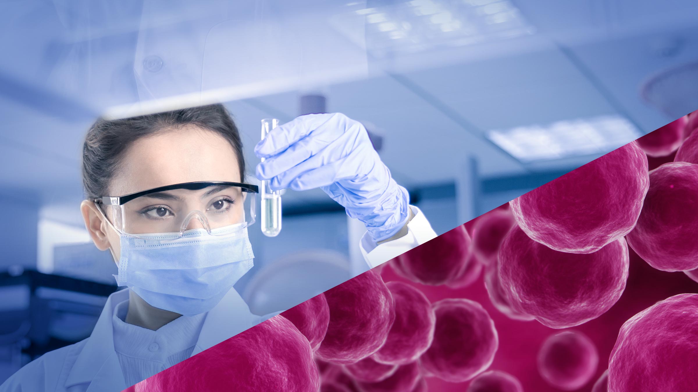 Bridgewest Group Life Science