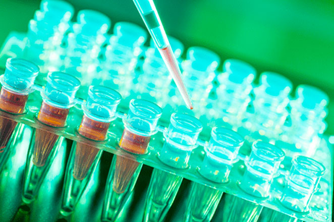 Molecular Response