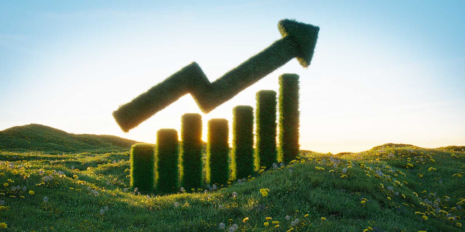 VC scale green tech growth